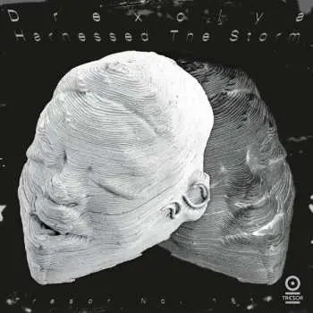 2LP Drexciya: Harnessed The Storm