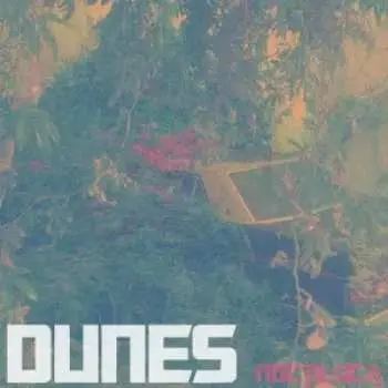 LP Dunes: Noctiluca
