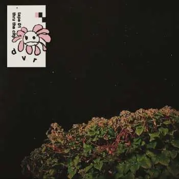 LP Dvr: tape 01 + thru the city LTD | CLR
