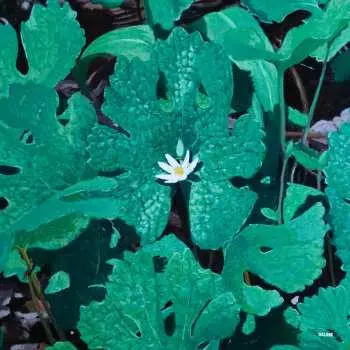 LP Early Fern: Wetland Interiors LTD