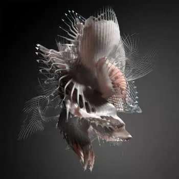 LP Echonomist: Dominator EP