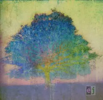 CD Eric Johnson: EJ DIGI