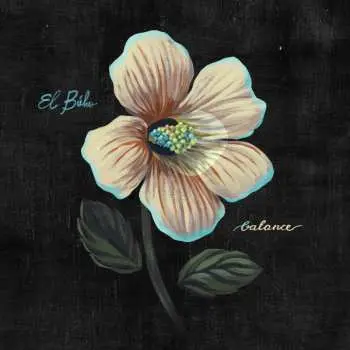 LP El Buho: Balance
