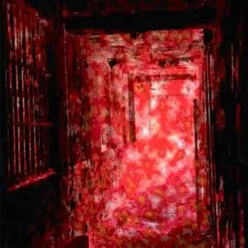 CD Elimi: Asylum