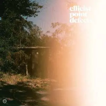 CD Ellicist: Point Defects