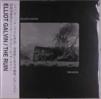 LP Elliot Galvin: Ruin