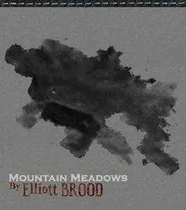 CD Elliott Brood: Mountain Meadows