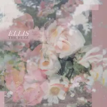 LP Ellis: The Fuzz