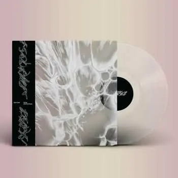 LP Elori Saxl: Drifts and Surfaces