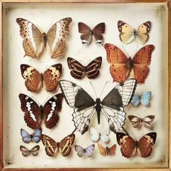 2CD Emiliana Torrini: Rarities
