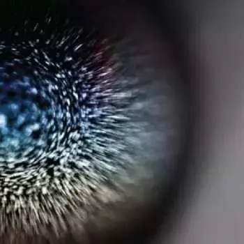 LP Emptyset: Blossoms