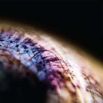 LP Emptyset: Skin