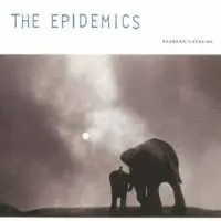 LP Epidemics: Shankar