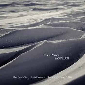 CD Erlend Viken: Sastrugi LTD
