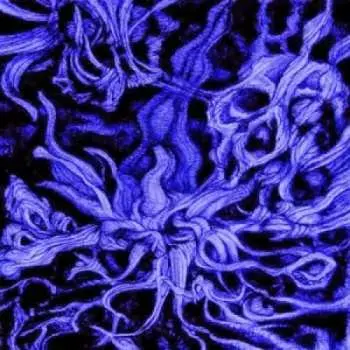 CD Esoterica: Aseity