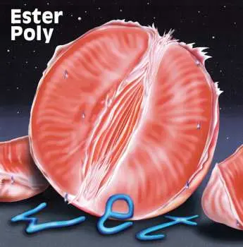 LP Ester Poly: Wet