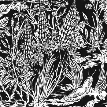CD Eternal Tapestry: Wild Strawberries