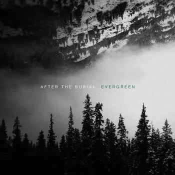 LP After The Burial: Evergreen