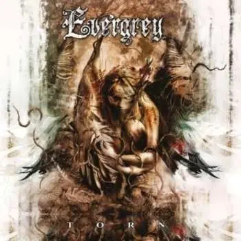 CD Evergrey: Torn LTD | DIGI