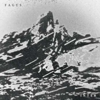 CD Fagus: Inter