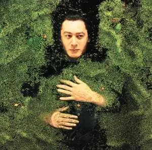 LP Alain Bashung: Fantaisie Militaire