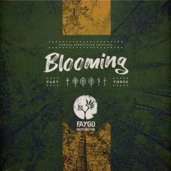 LP Faygo: Blooming #3