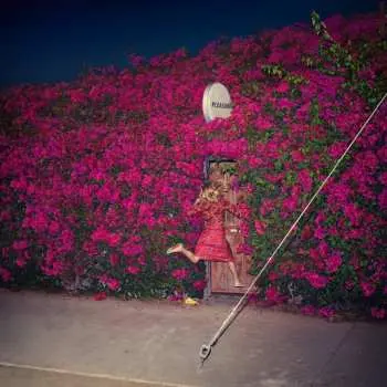 CD Feist: Pleasure DIGI