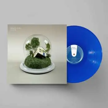 LP Fenne Lily: Big Picture LTD | CLR