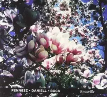 LP Fennesz: Knoxville LTD