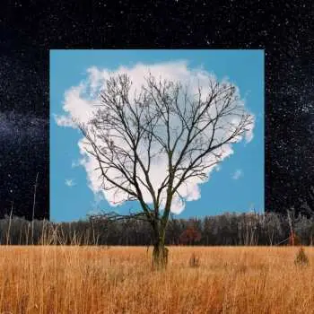 CD Fink: Bloom Innocent