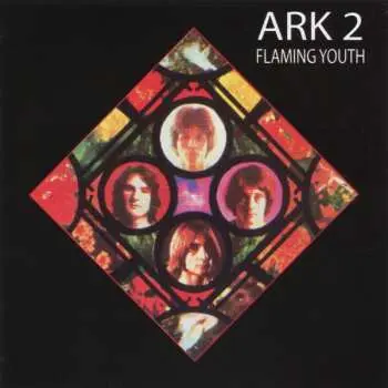 CD Flaming Youth: Ark 2