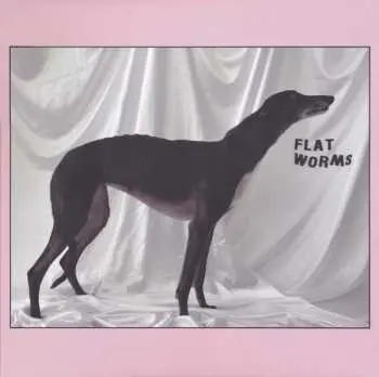 LP Flat Worms: Flat Worms