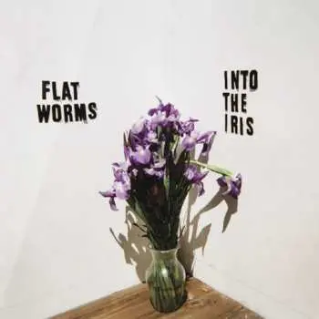 CD Flat Worms: Into The Iris