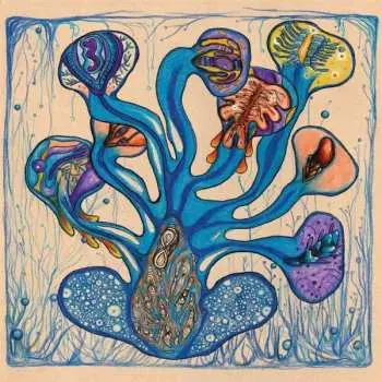 2LP Houeida Hedfi: Fleuves De L'âme CLR | LTD | NUM
