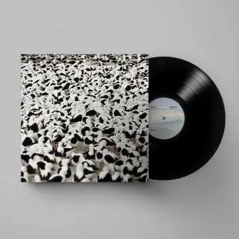 LP Stella Donnelly: Flood