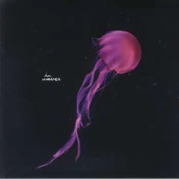 LP Flowers On Monday: Horizons