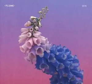 CD Flume: Skin