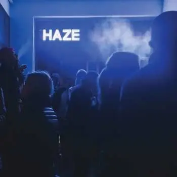 2LP Fluxion: Haze (2lp)