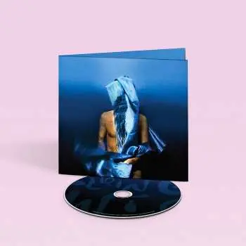 CD Devendra Banhart: Flying Wig