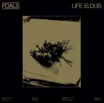 LP Foals: Life Is Dub CLR