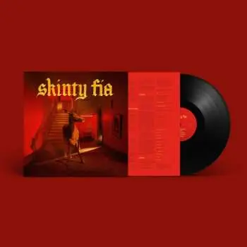 LP Fontaines D.C.: Skinty Fia