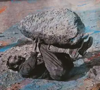 CD Forest Swords: Compassion