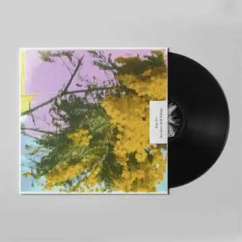 LP Four Tet: Into Dust (Still Falling)
