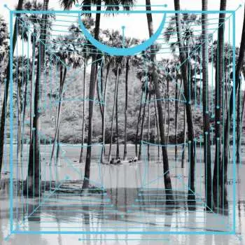2LP Four Tet: Pink