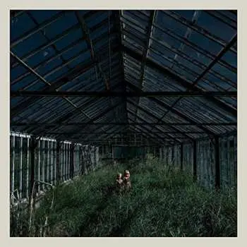 LP Foxing: Dealer CLR | LTD