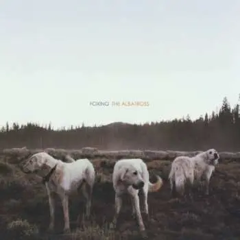 LP Foxing: The Albatross