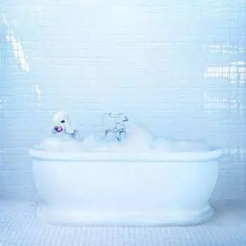 CD Frankie Cosmos: Vessel