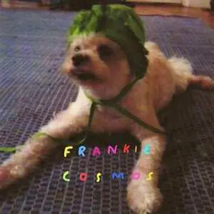 LP Frankie Cosmos: Zentropy
