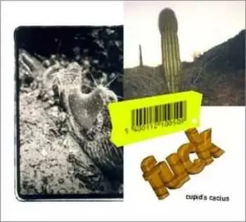 CD Fuck: Cupid's Cactus DIGI