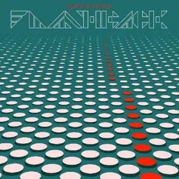 CD Fujiya & Miyagi: Flashback
